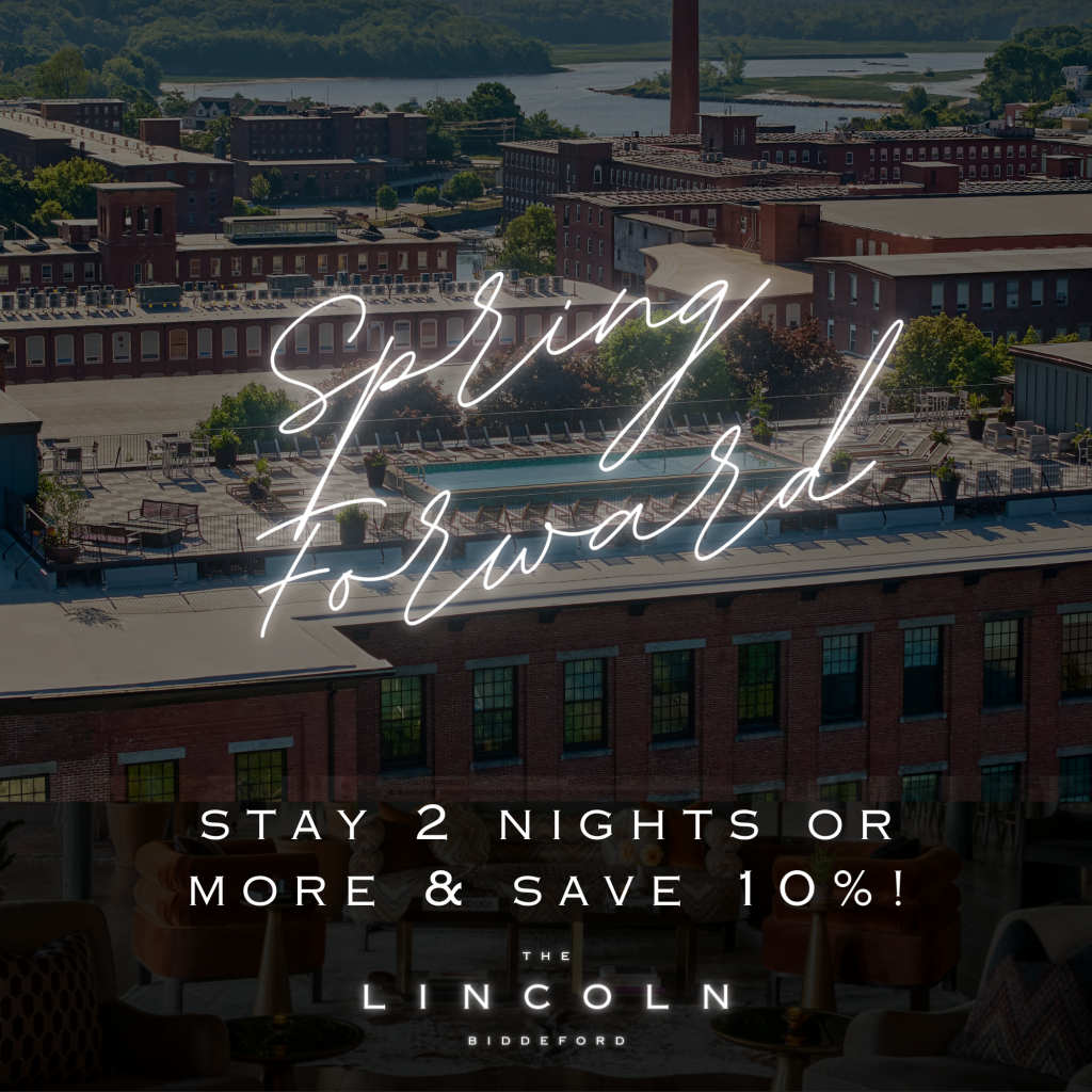 website-package-graphics-lincoln-2